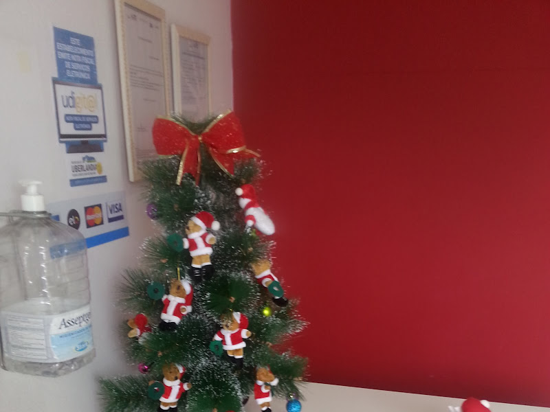 Foto 3 de Dra. Valéria Nunes