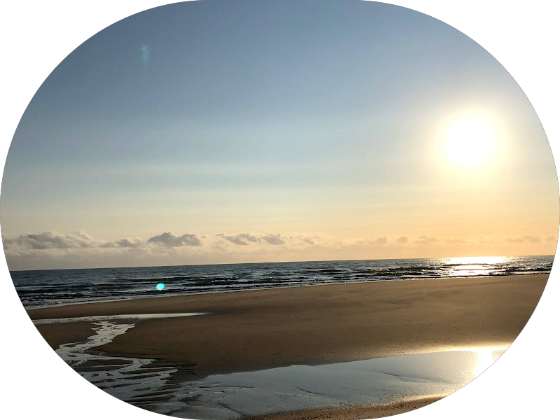 Foto 2 de Dra. Vera Gurgel | Dentista em Fortaleza