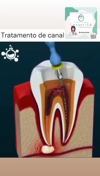 Foto 4 de Dra Vera Lucia Calvo