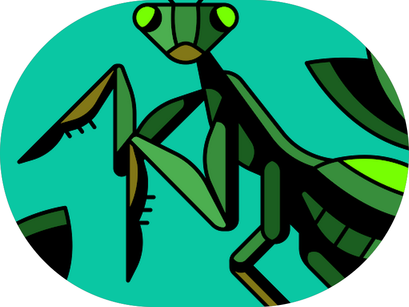 Foto 4 de Dra. Victoria TRUCCI - Tratamento de Canal - Endodontia Microscópica - Urgências - Odontologia - São Leopoldo - RS