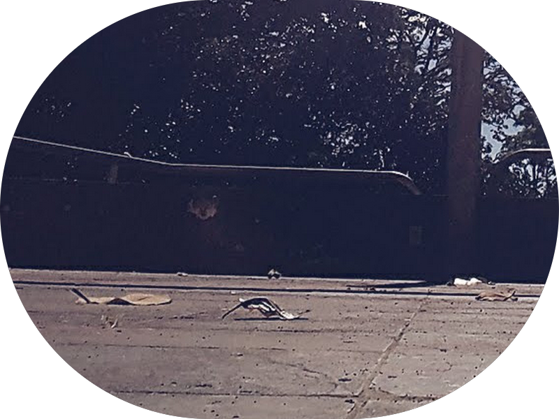 Foto 3 de Dra. Vitória - Clínica Odontológica