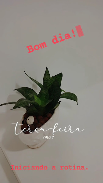 Foto 3 de Dra. Wanessa Hoffmann Brito