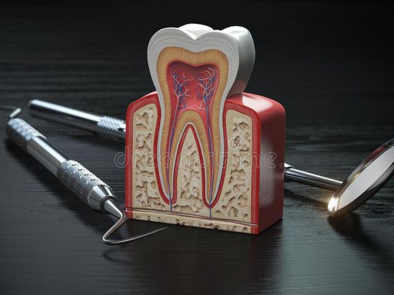 Dra. Wyara - Odontologia Humanizada