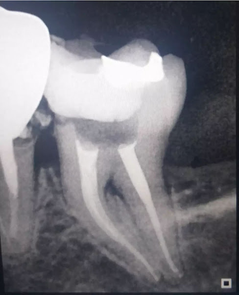 Foto 3 de Dra Yve Dias