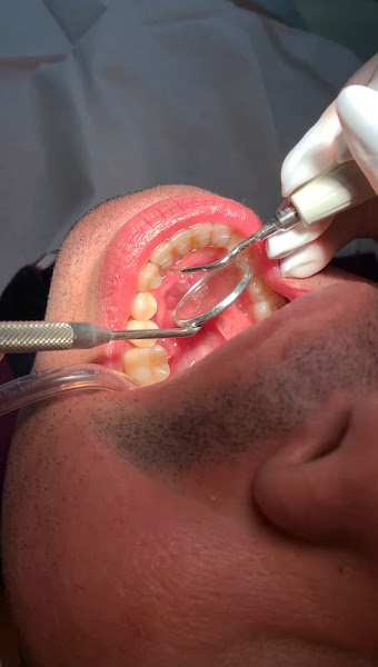 Foto 2 de Dra Ziandra Montenegro