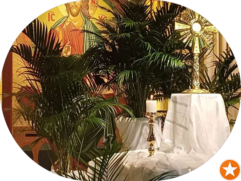 Foto 2 de Droga Nova Pague Menos