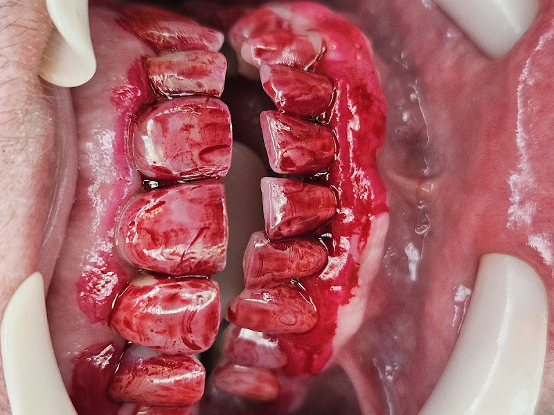 Foto 2 de Drs Frederico Raul e Christine Cabral