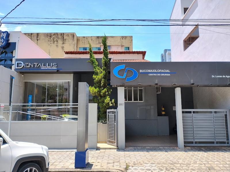 Foto 3 de DRYADAS MARCONDES SANTOS