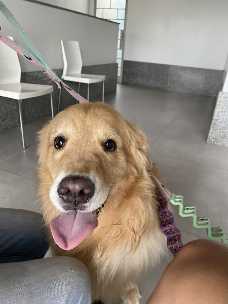 Foto 2 de Due diagnóstico por imagem, Unidade São Lucas