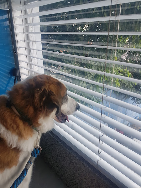 Foto 3 de Due diagnóstico por imagem, Unidade São Lucas