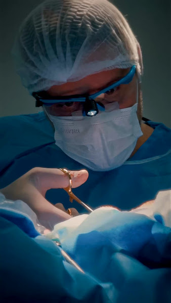 Foto 3 de Dueto Odontologia