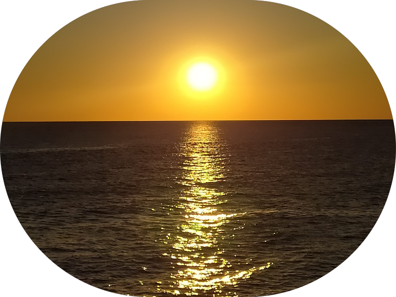 Foto 7 de Duo Oral Care