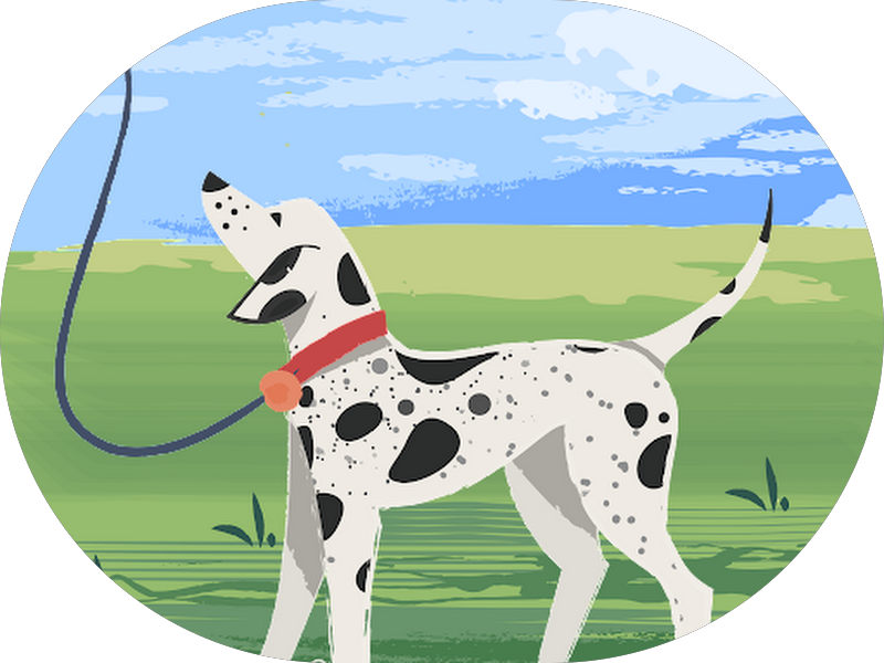 Foto 2 de Elcam Medicina e Saúde Ocupacional Ltda