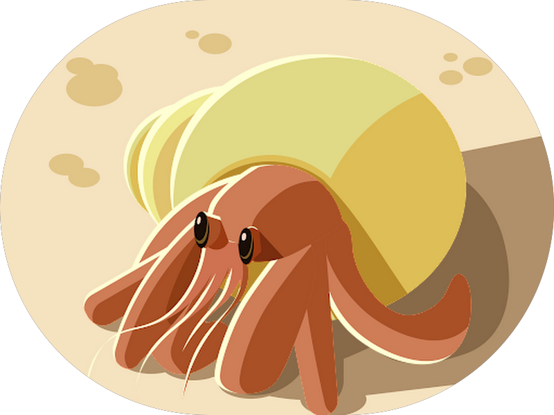 Foto 6 de Eleva Odontologia