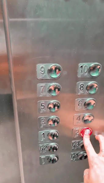 Foto 3 de Eliza Vasques | Dentista Petrópolis