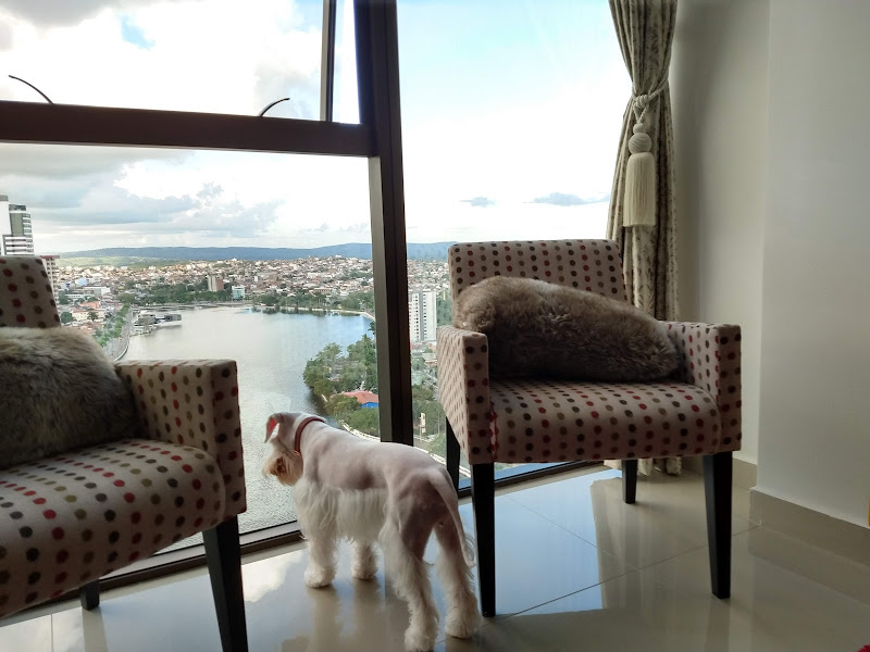 Foto 3 de Empresarial Mundo Plaza