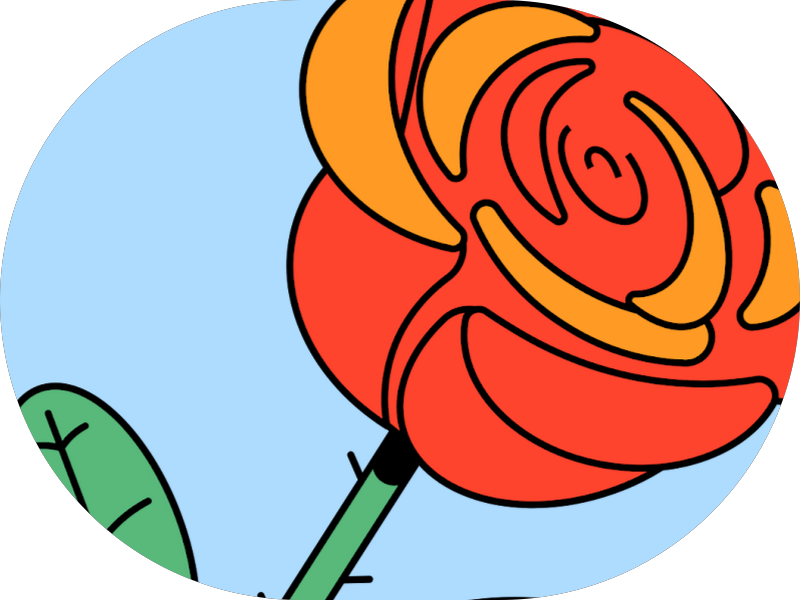 Foto 6 de EQUERINO Odontologia Especializada/Clínica Odontológica Rio Vermelho