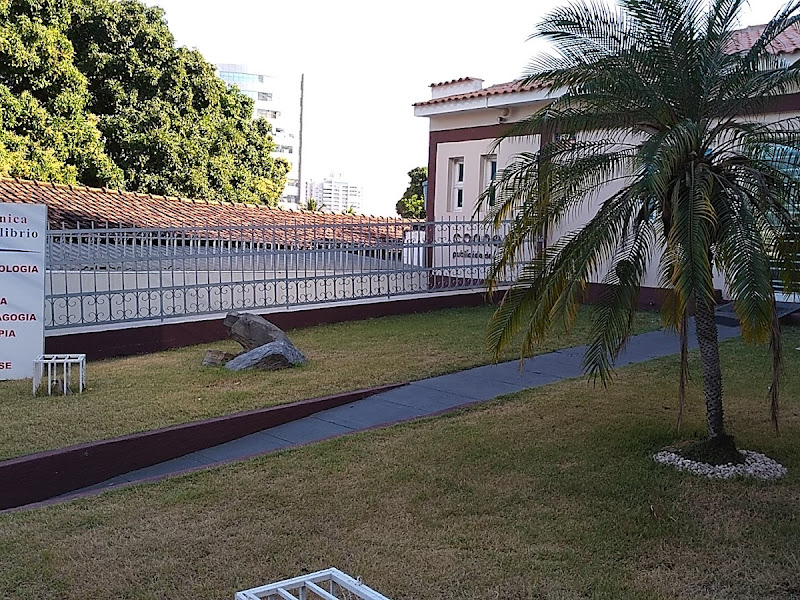 Foto 2 de Equilíbrio Natural Odontologia