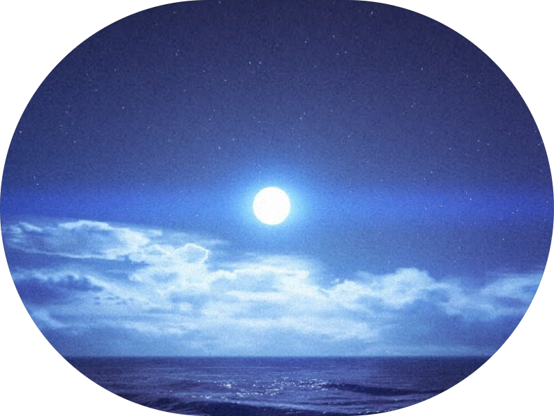 Foto de ERVÂNIO JOSE DE ALMEIDA