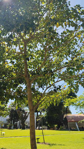 Foto 3 de Escola Bahiana de Medicina e Saúde Pública - Cabula