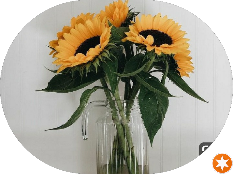 Foto 3 de Espaço Odontológico Bela Vista