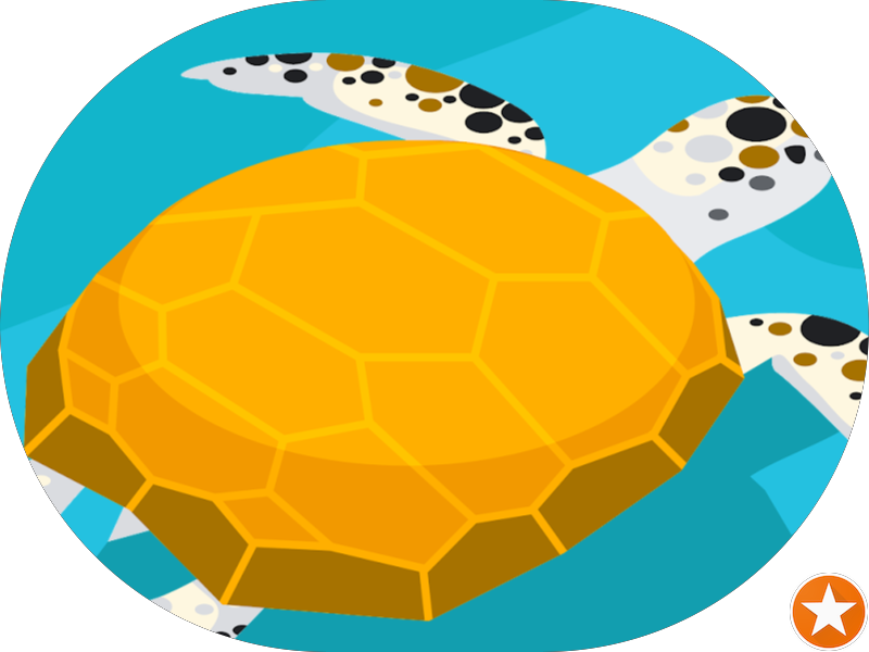 Foto 3 de ESPAÇO ORALL ODONTOLOGIA