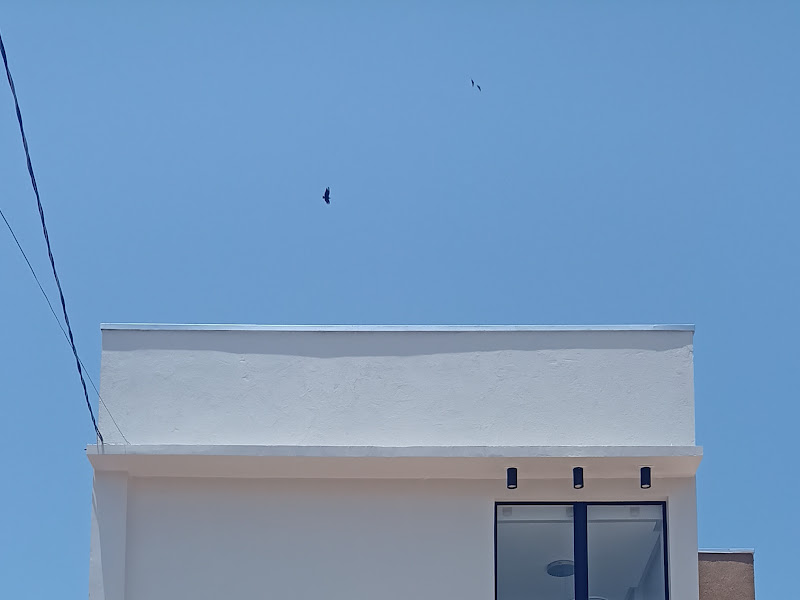 Foto 6 de Espaço Sorriso e Saúde - Dra. Yanna Cunha - Dentista