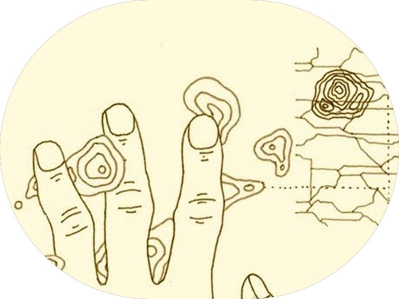 Foto 4 de Estivallet Longoni Odontologia