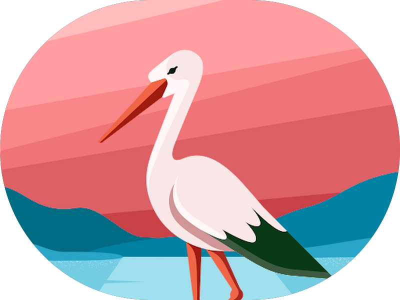 Foto 4 de Estrela Guia Odontologia