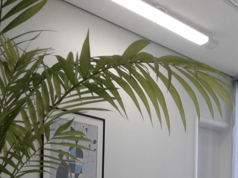 Foto 6 de Evandro Campos Odontologia