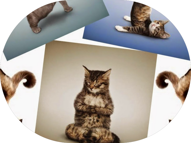 Foto 2 de Evidente Clinica Odontológica