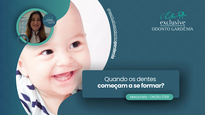 Foto 5 de Exclusive Odonto Gardênia