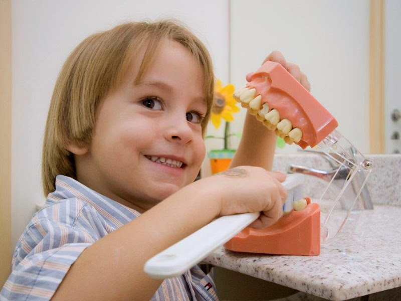 Foto 8 de Fábula - Odontopediatria & Ortodontia