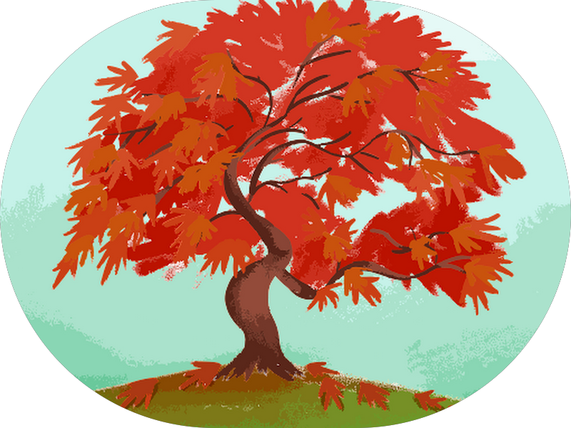 Foto 2 de Facesc - Faculdade de Educação Superior de Chapecó