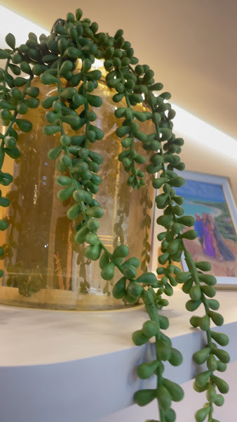 Foto 3 de Facetas em Resina Dra Danielle Saar Odontologia Estética