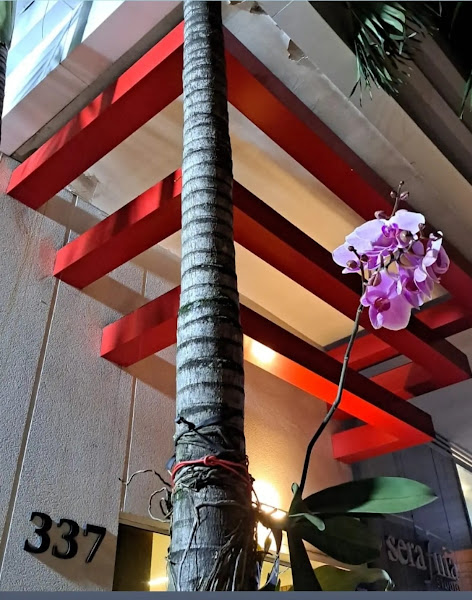 Foto 3 de FÁTIMA ARAUJO CLINICA ODONTOLÓGICA LTDA