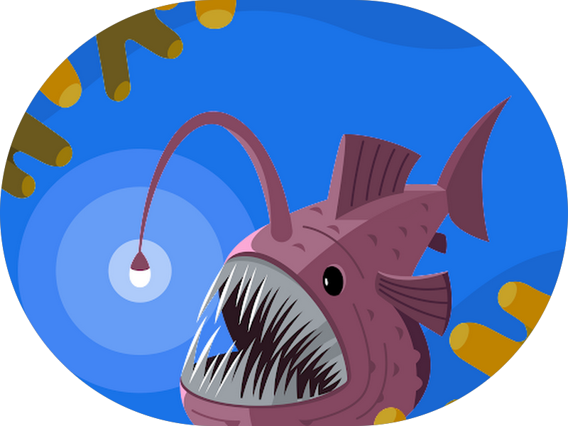 Foto 2 de Fernando P Krollmann