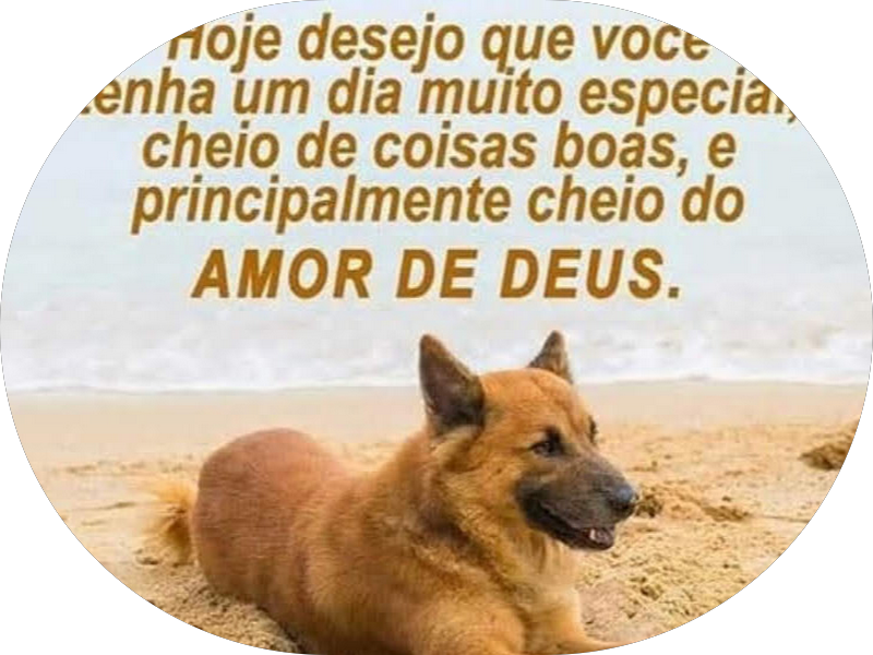 Foto 6 de Fibro Odontologia