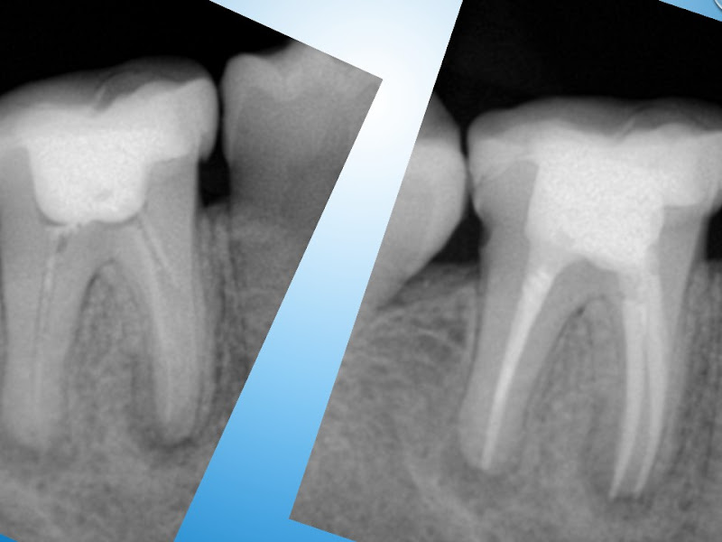 Foto de Flávia Maria Odontologia