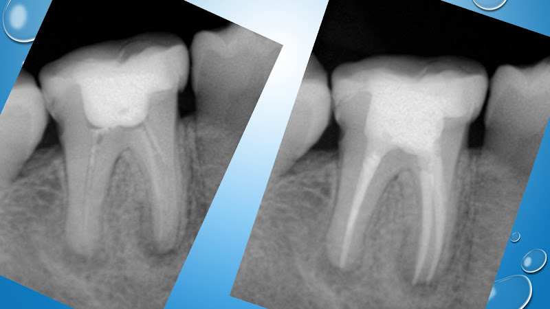 Foto 2 de Flávia Maria Odontologia
