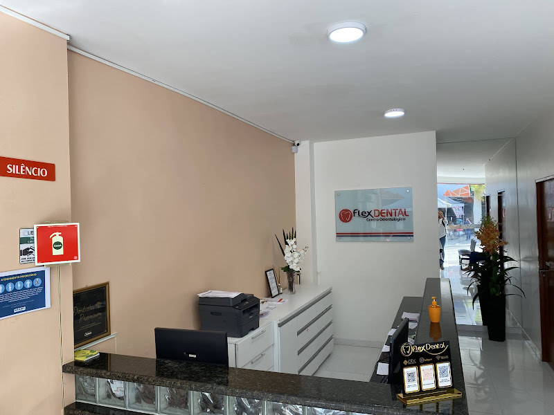 Foto 3 de Flex Dental próteses