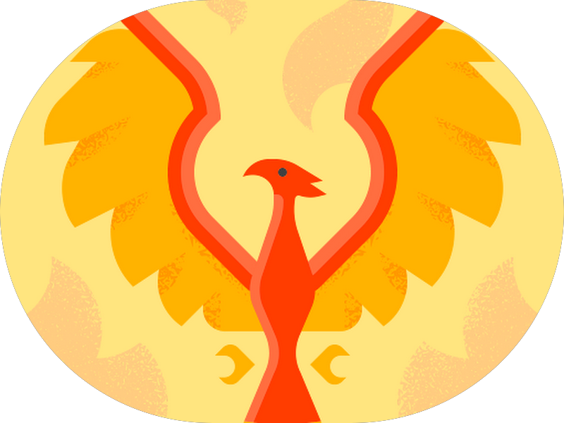 Foto 8 de FM Muccioli Odontologia Implantes Dentários Dentista na Mooca