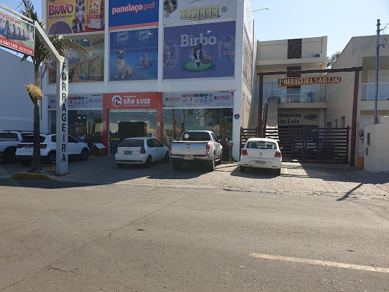 Foto 2 de Forrageira São Luiz