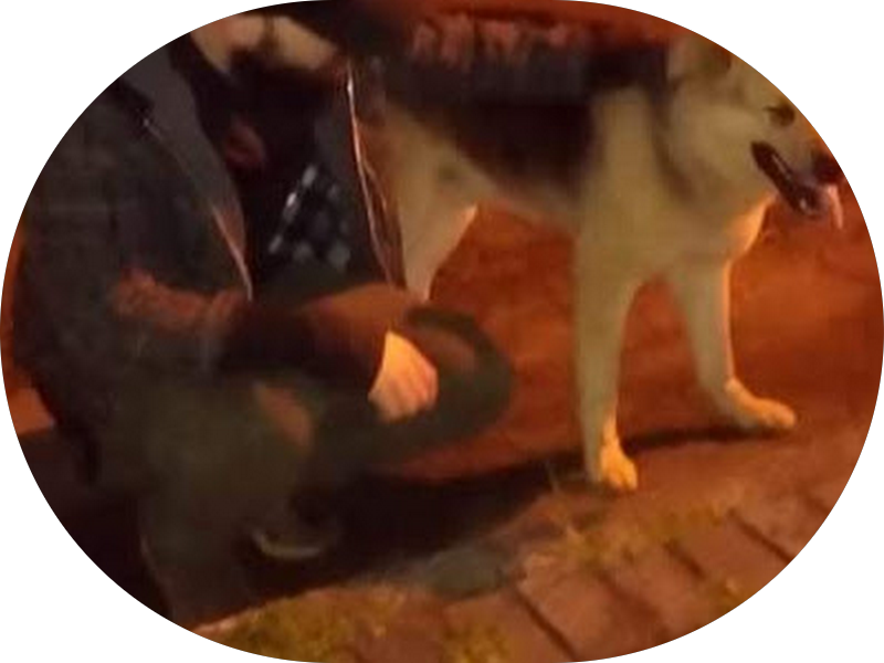 Foto 4 de FRAGA BERTAIOLLI ODONTOLOGIA