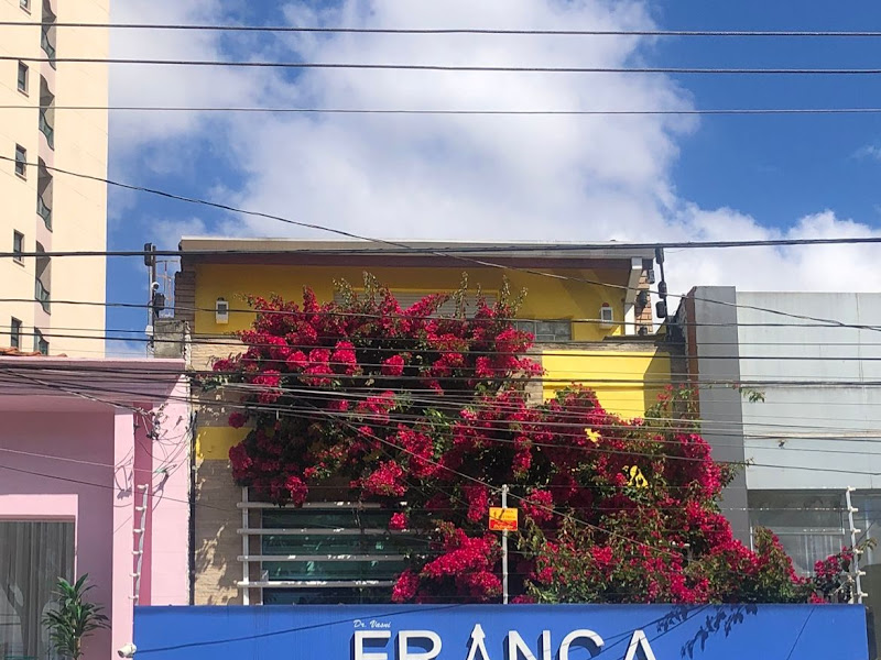 Foto de França Odontologia