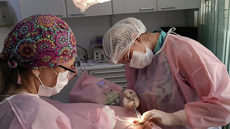 Foto 6 de Futureodonto