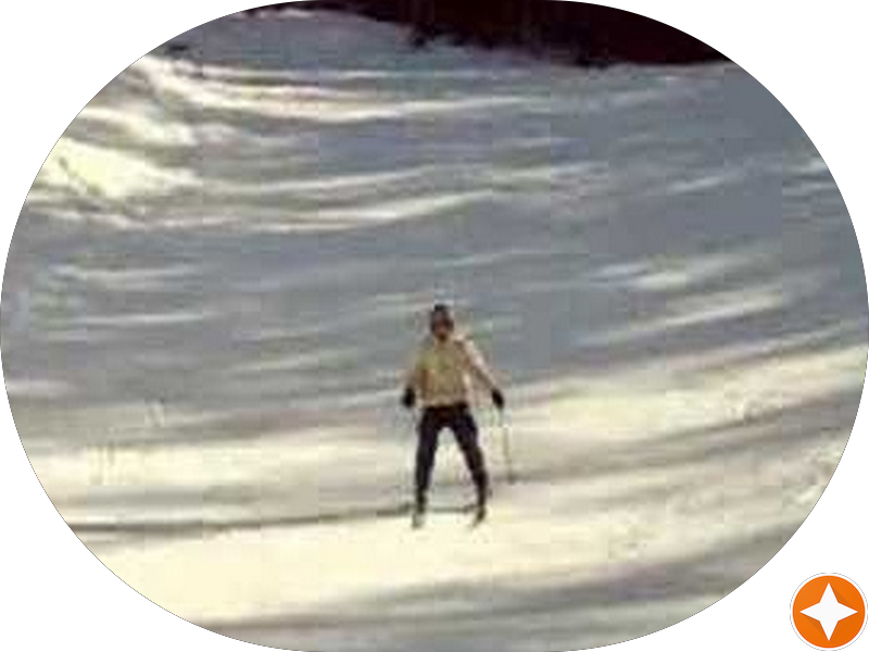 Foto 2 de GATO MIA - Clinica de Felinos