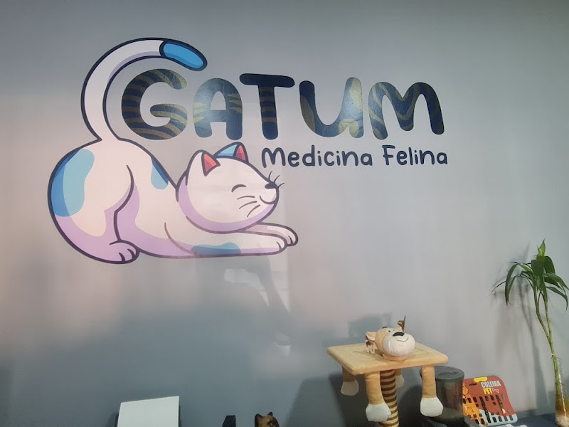 Foto de Gatum Medicina Felina