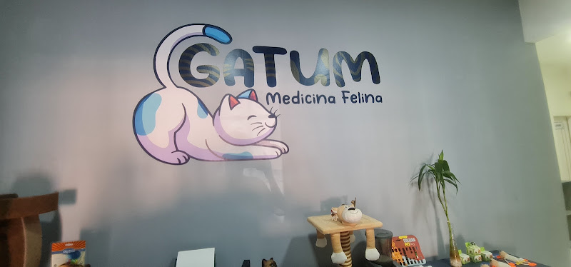 Foto 2 de Gatum Medicina Felina