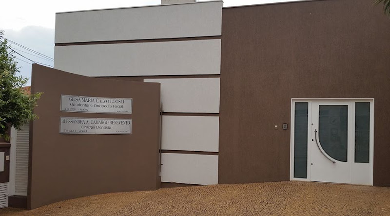 Foto 2 de Geisa Calvo Loosli